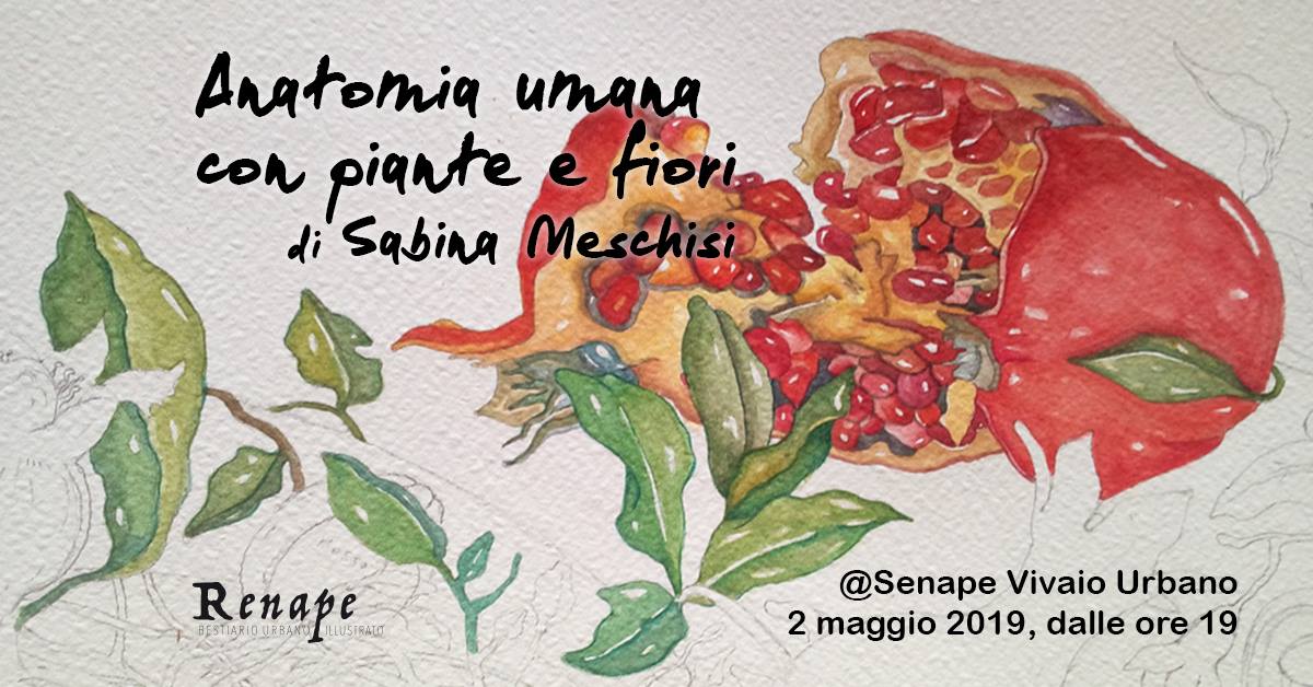Renape presenta: Sabina Meschisi