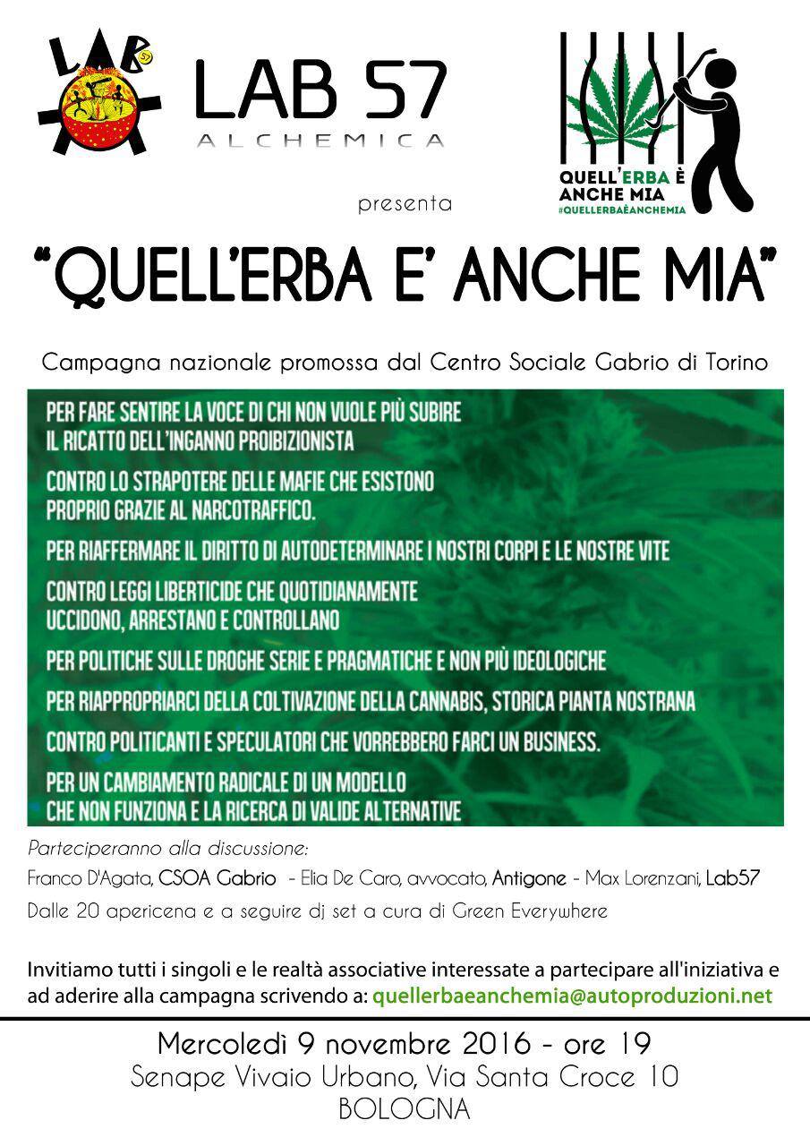 09.11.2016 Quell'erba è anche mia