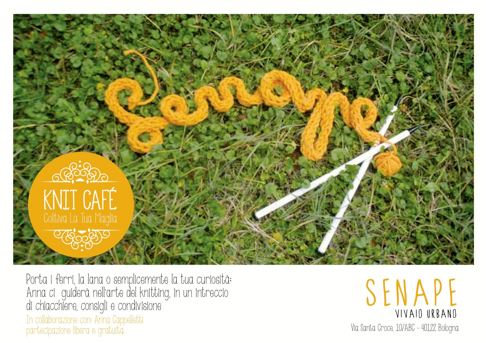 09.11.2013 Knit Café - Coltiva La Tua Maglia