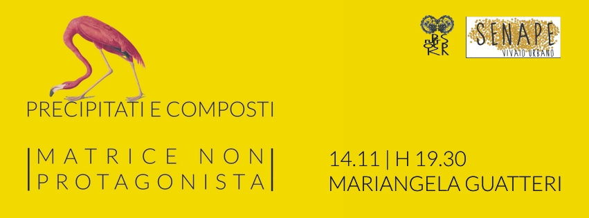 14.11.2015 Precipitati e Composti #2 ::: Matrice Non Protagonista