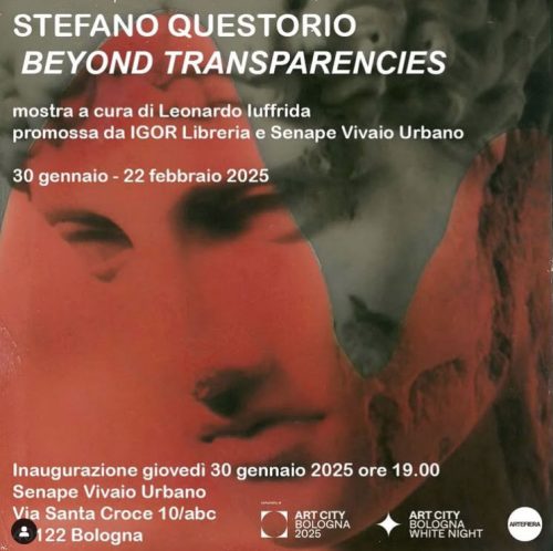 BEYOND TRANSPARENCIES di Stefano Questorio