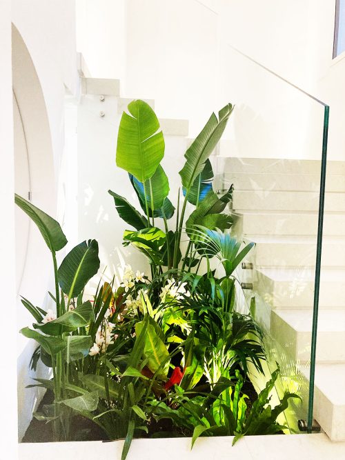 Giardino segreto in una casa a Ferrara - Progettazione di interni - Senape Vivaio Urbano