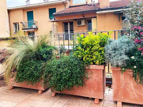 Ampio terrazzo in centro storico a Bologna - Progettazione di esterni - Senape Vivaio Urbano Ampio terrazzo in centro storico a Bologna - Progettazione di esterni - Senape Vivaio Urbano