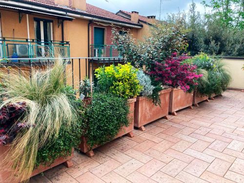 Ampio terrazzo in centro storico a Bologna - Progettazione di esterni - Senape Vivaio Urbano Ampio terrazzo in centro storico a Bologna - Progettazione di esterni - Senape Vivaio Urbano