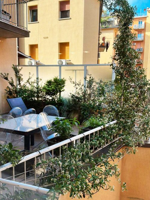Terrazzo in centro storico a Bologna - Progettazione di esterni - Senape Vivaio Urbano Terrazzo in centro storico a Bologna - Progettazione di esterni - Senape Vivaio Urbano